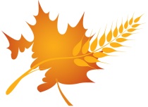 Festival de père Zim